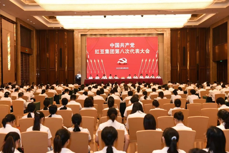 党yuan代表大会4